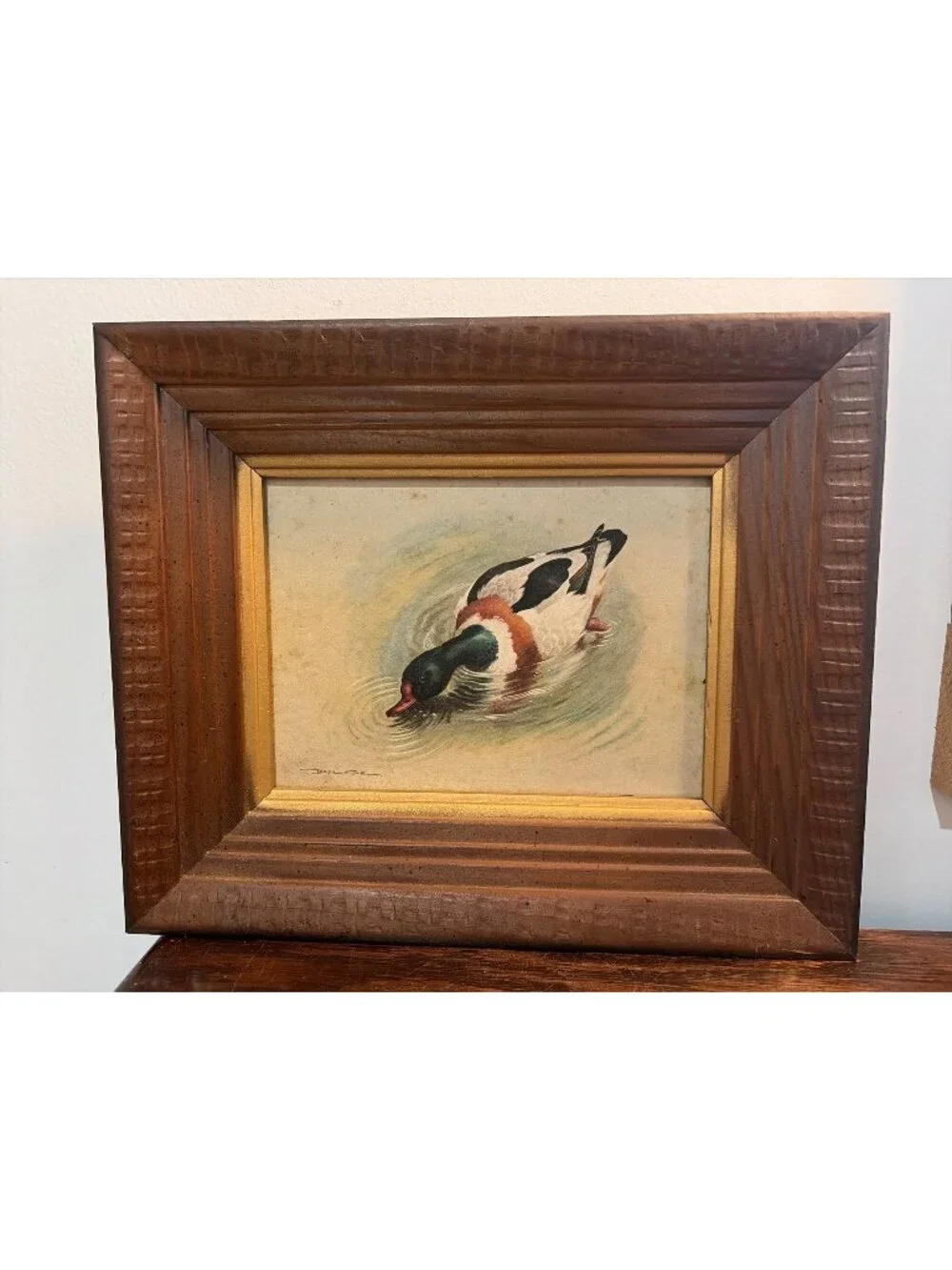 VTG Framed Duck Print By Basil Ede 12